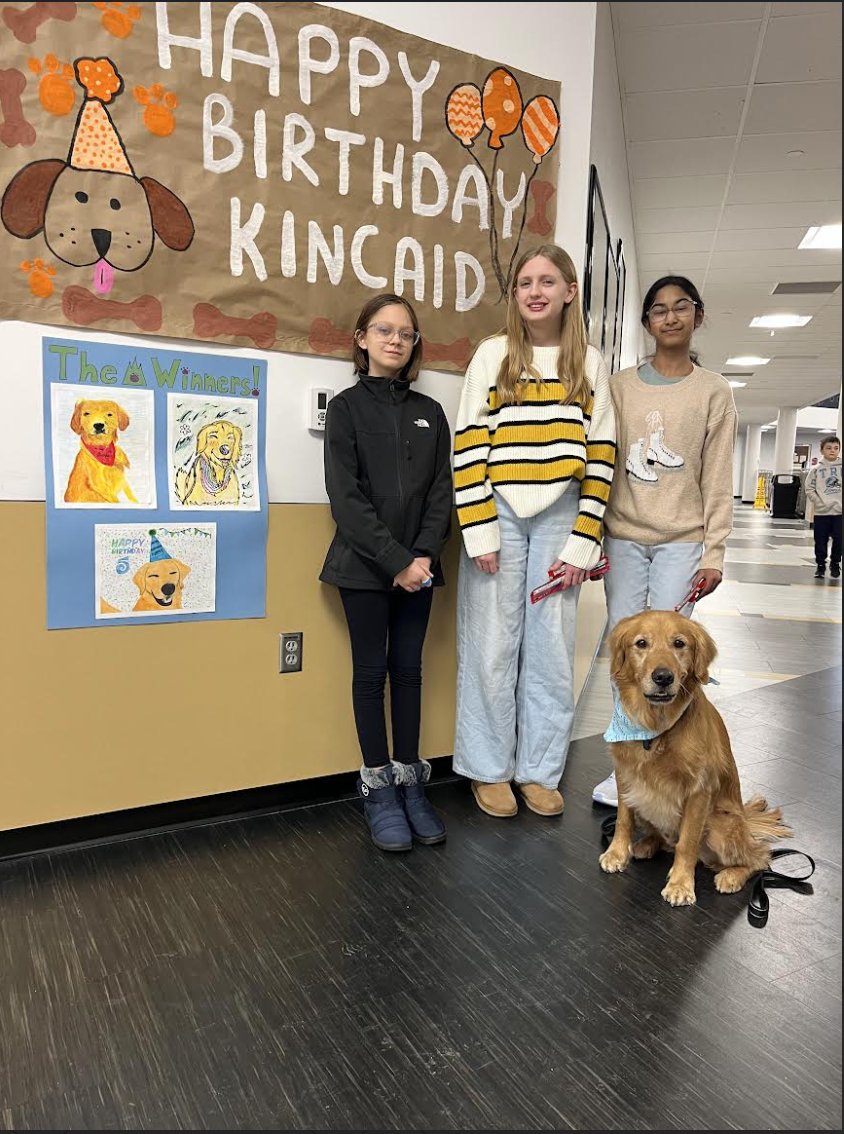 PburgDogs's tweet photo. Pictures from Kincaid's 5th birthday celebration where HPI students competed in a Kincaid Portrait Contest. https://t.co/IZRiYxAEHU