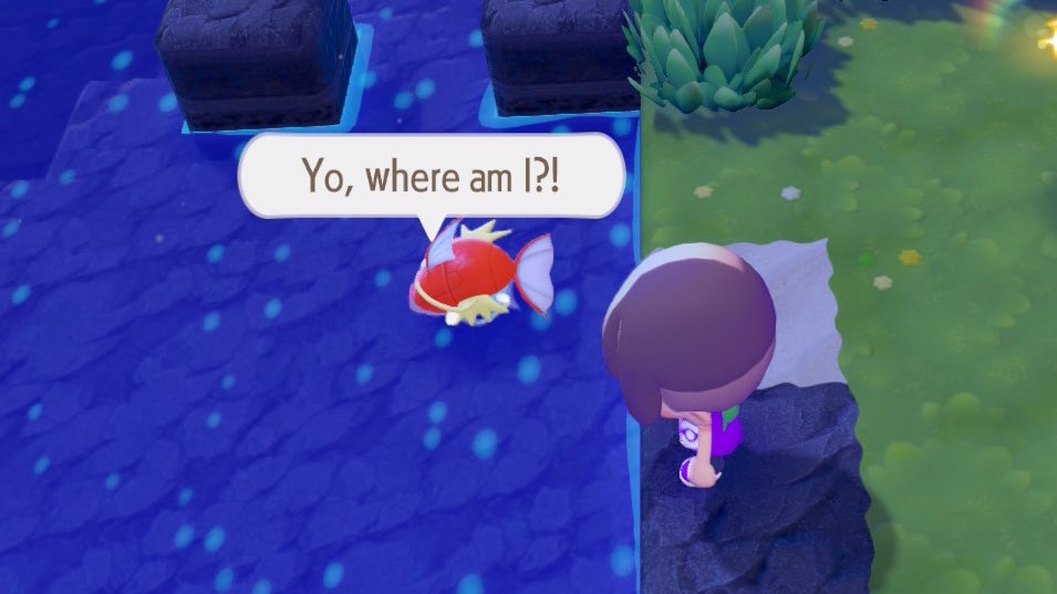 || DagMahone || tweet media