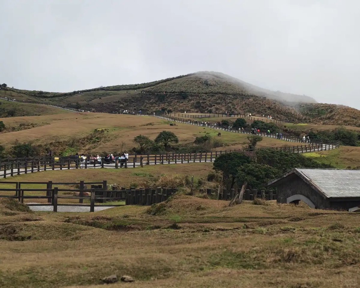 栞 _ 🌿 tweet media