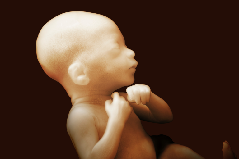 LifeNews.com tweet media