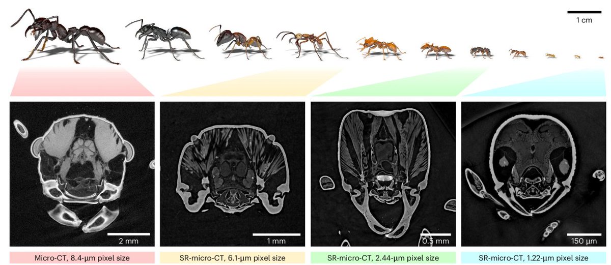 Nature Methods tweet media