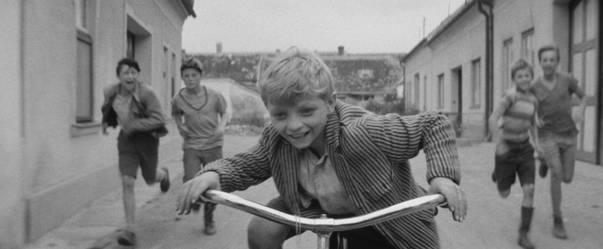 DVDBeaver tweet media