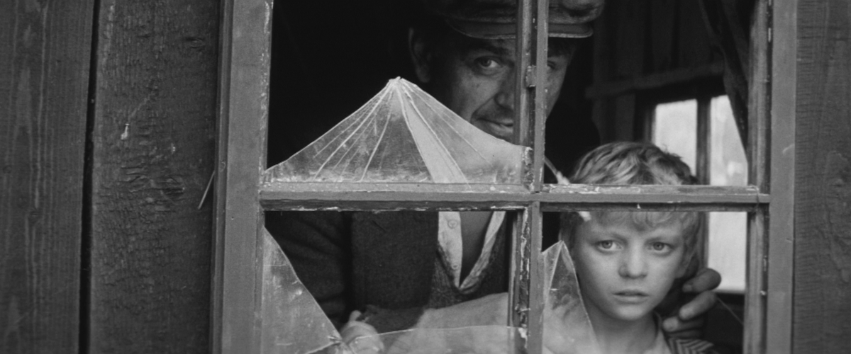 DVDBeaver tweet media