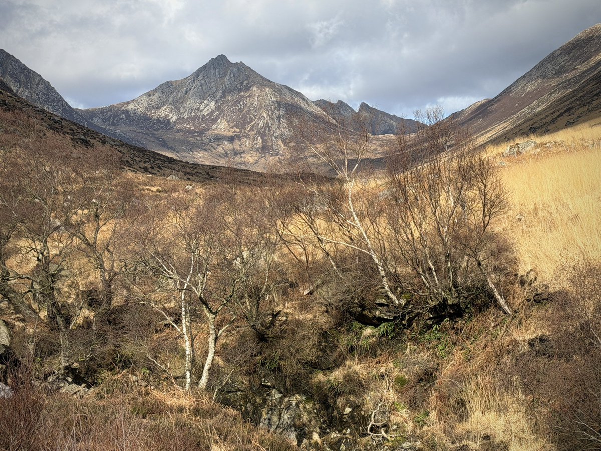 Ross Davidson | UK Mountain Photography tweet media