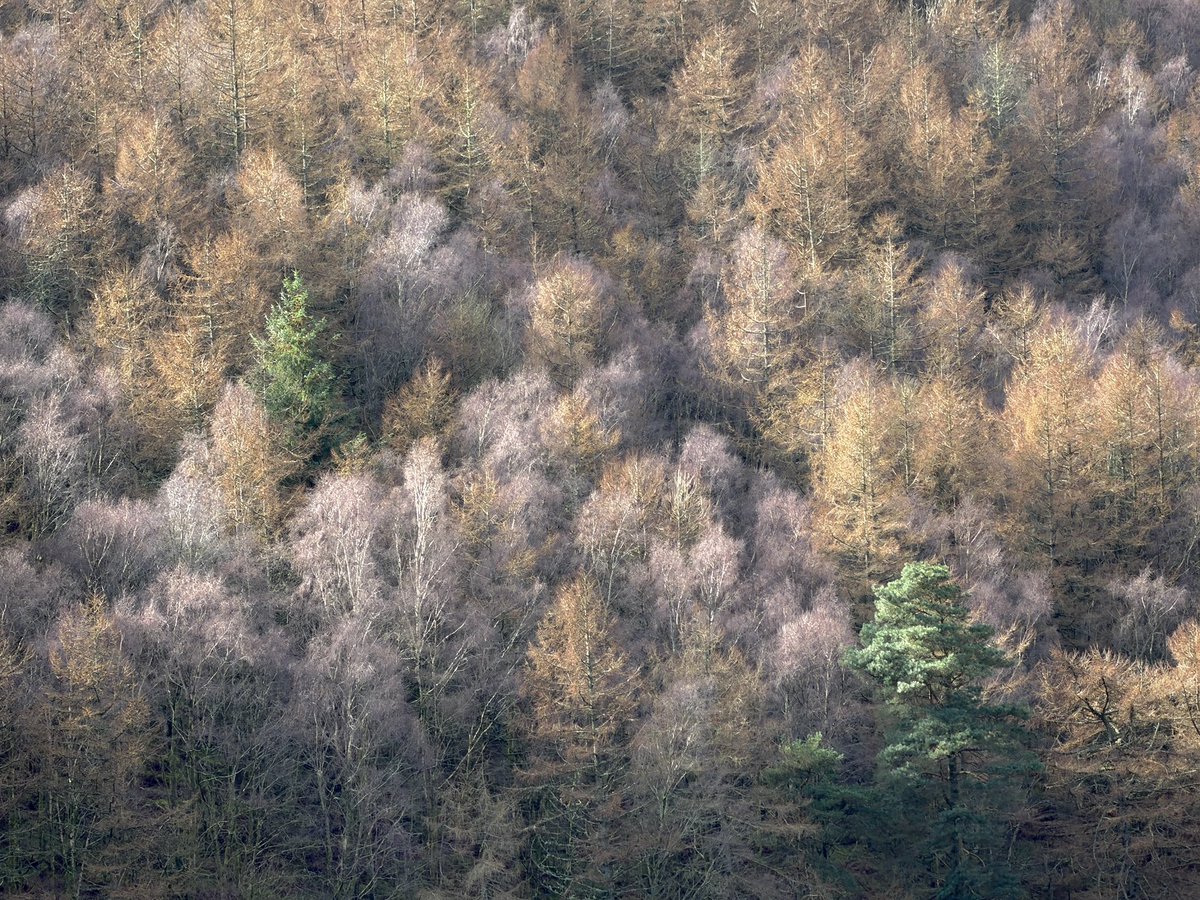 Ross Davidson | UK Mountain Photography tweet media