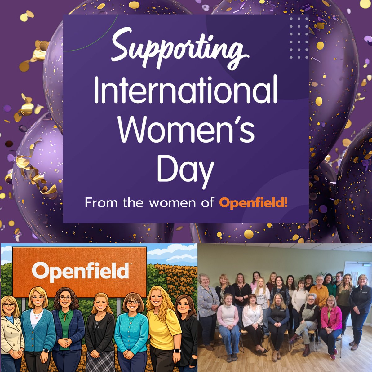 Openfield: More than just grain. tweet media