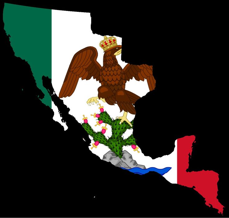 Capitan_Dollop 🌟🎈 tweet media