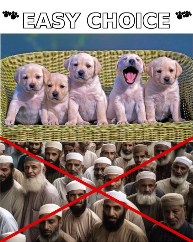DOGS OR MUSLIMS !!!

YOU DECIDE ?