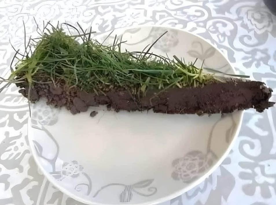 Matthew George (sometimes daughter Beatrice) 💙 tweet media