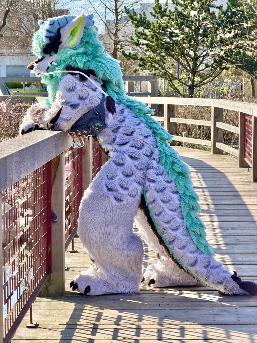 BingQiLong tweet picture