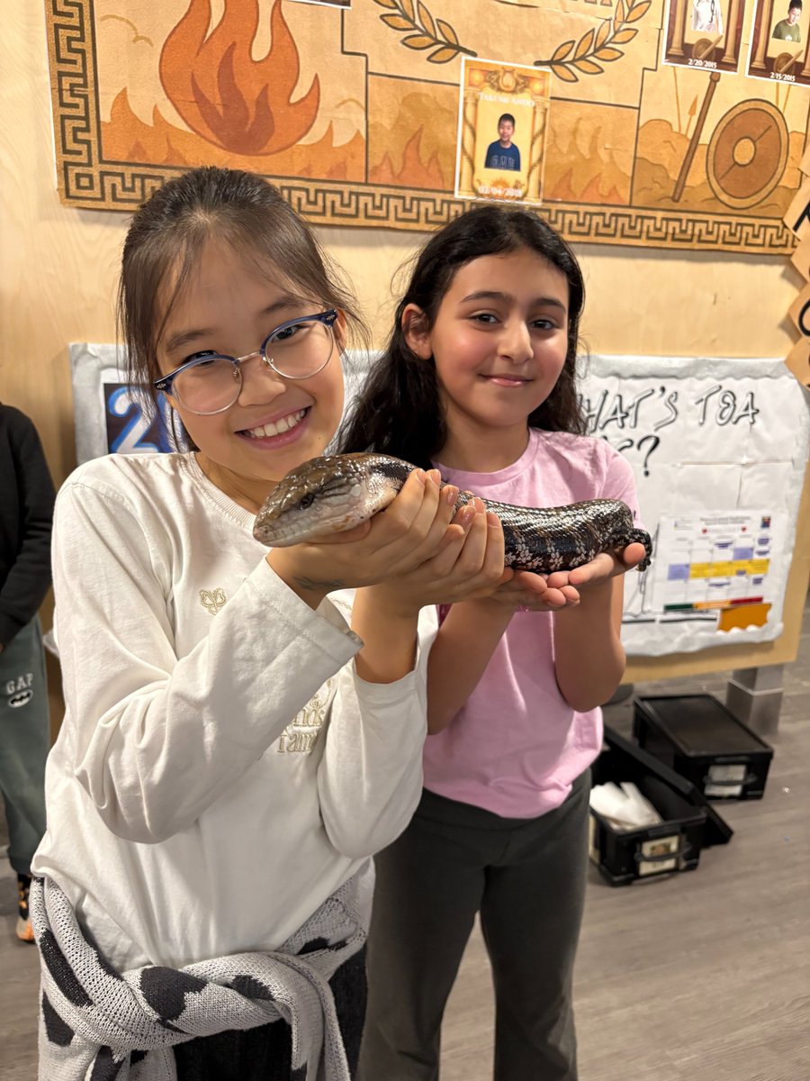 Roosevelt Island Operating Corporation tweet media