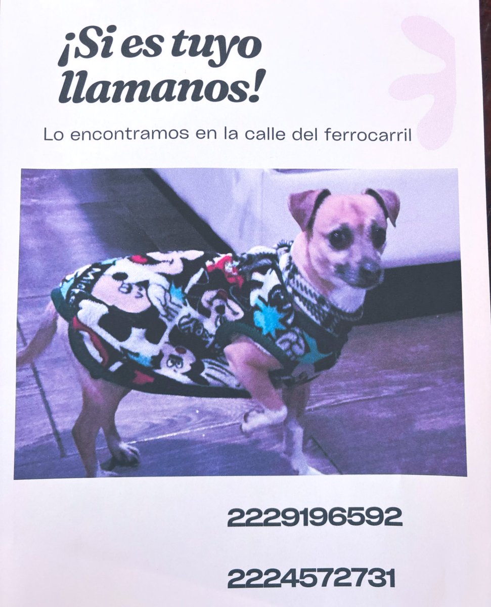 informativo217 tweet media