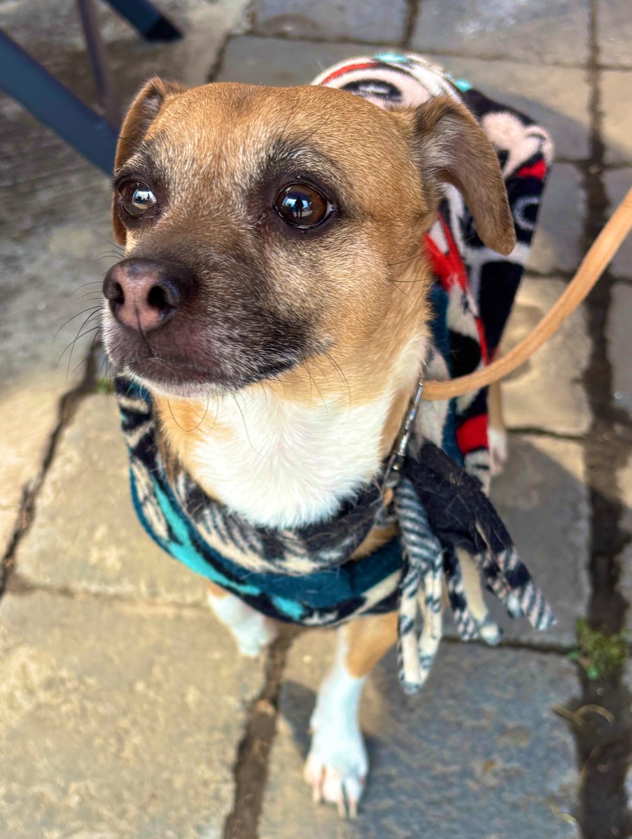 informativo217 tweet media