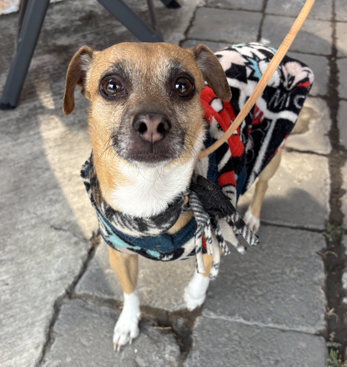 informativo217 tweet media