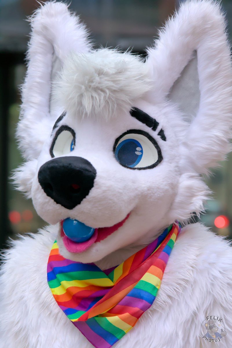 Double 🔜 CFZ26, EF30 tweet media