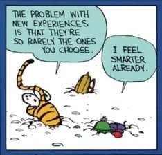 no context Calvin & Hobbes tweet media