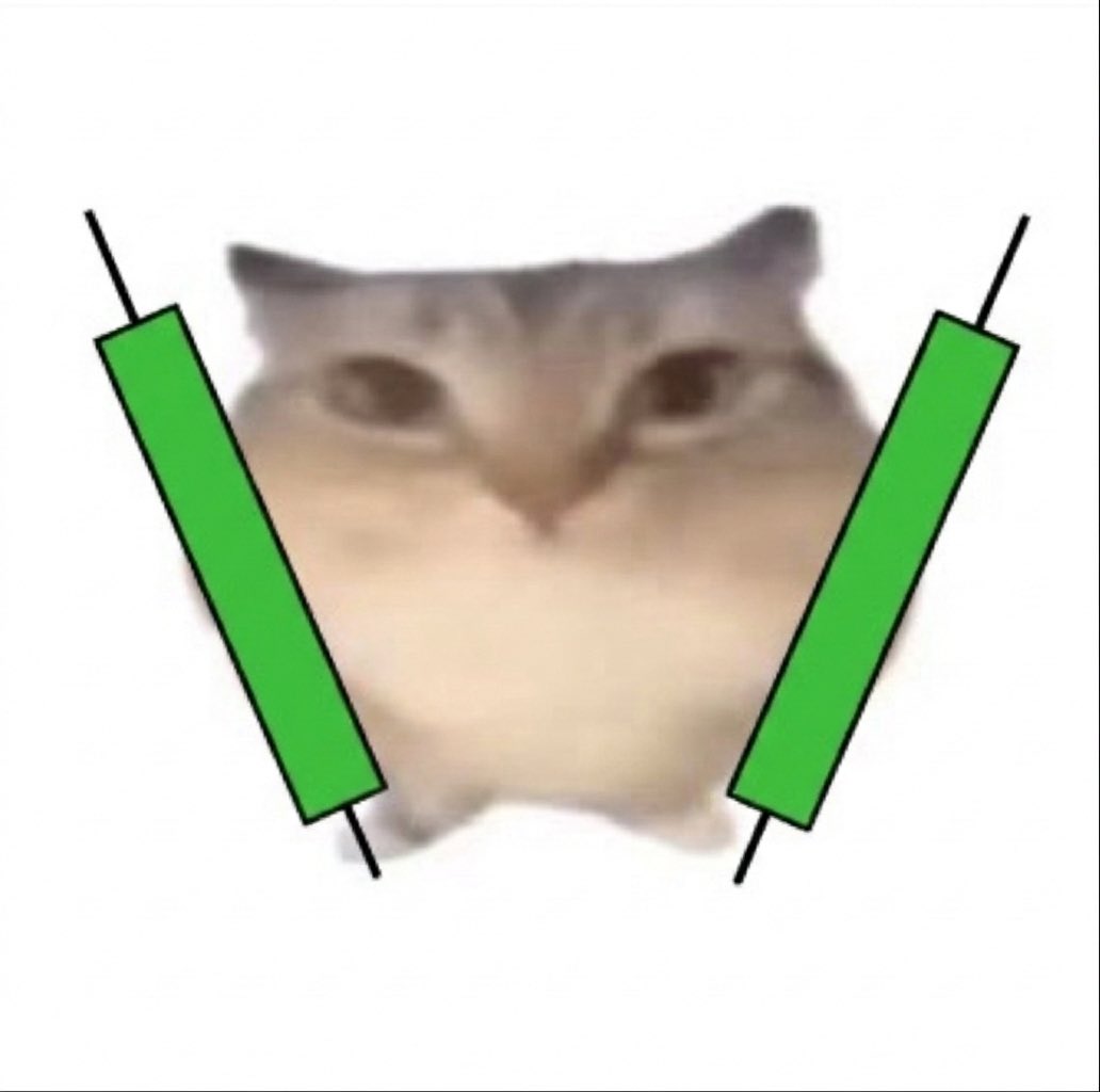 Pengu Lives tweet media