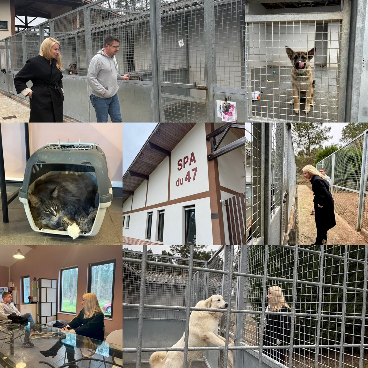 🐾 La SPA du Lot-et-Garonne traverse une période très difficile. Chaque jour, les bénévoles et salariés se battent pour accueillir, soigner et protéger des animaux abandonnés. 

Mais aujourd’hui, la situation financière de la #SPA47 est préoccupante. Un don, quel qu’il soit, peut
