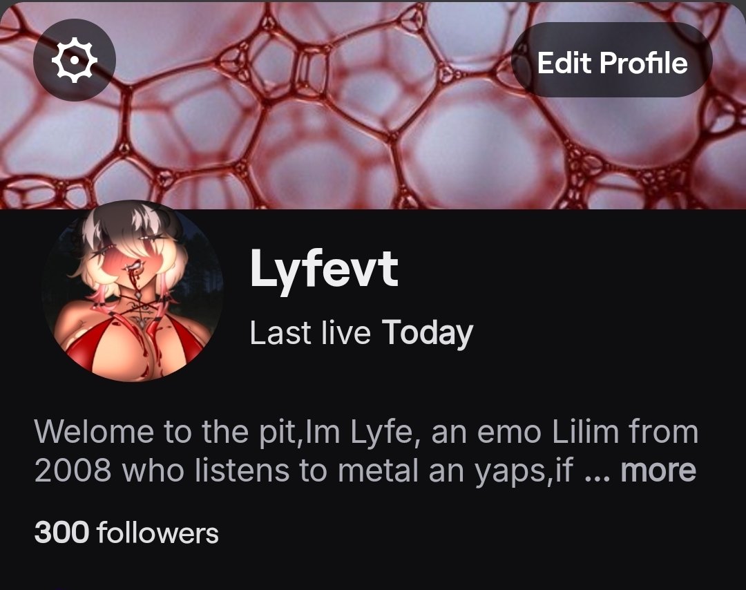 .˳·˖✶𓆩 LyfeVt♡Lillim Vtuber 𓆪✶˖·˳. tweet media