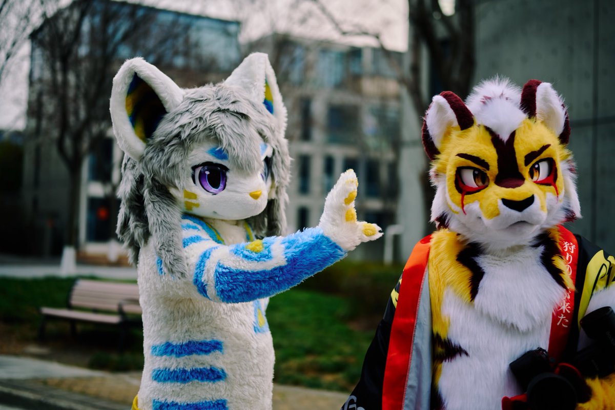 凯特冥 tweet media