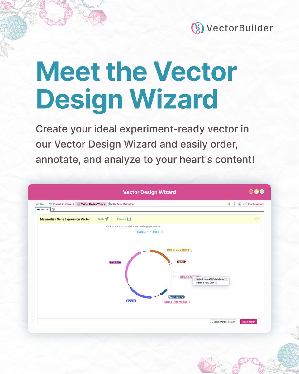 VectorBuilder tweet media