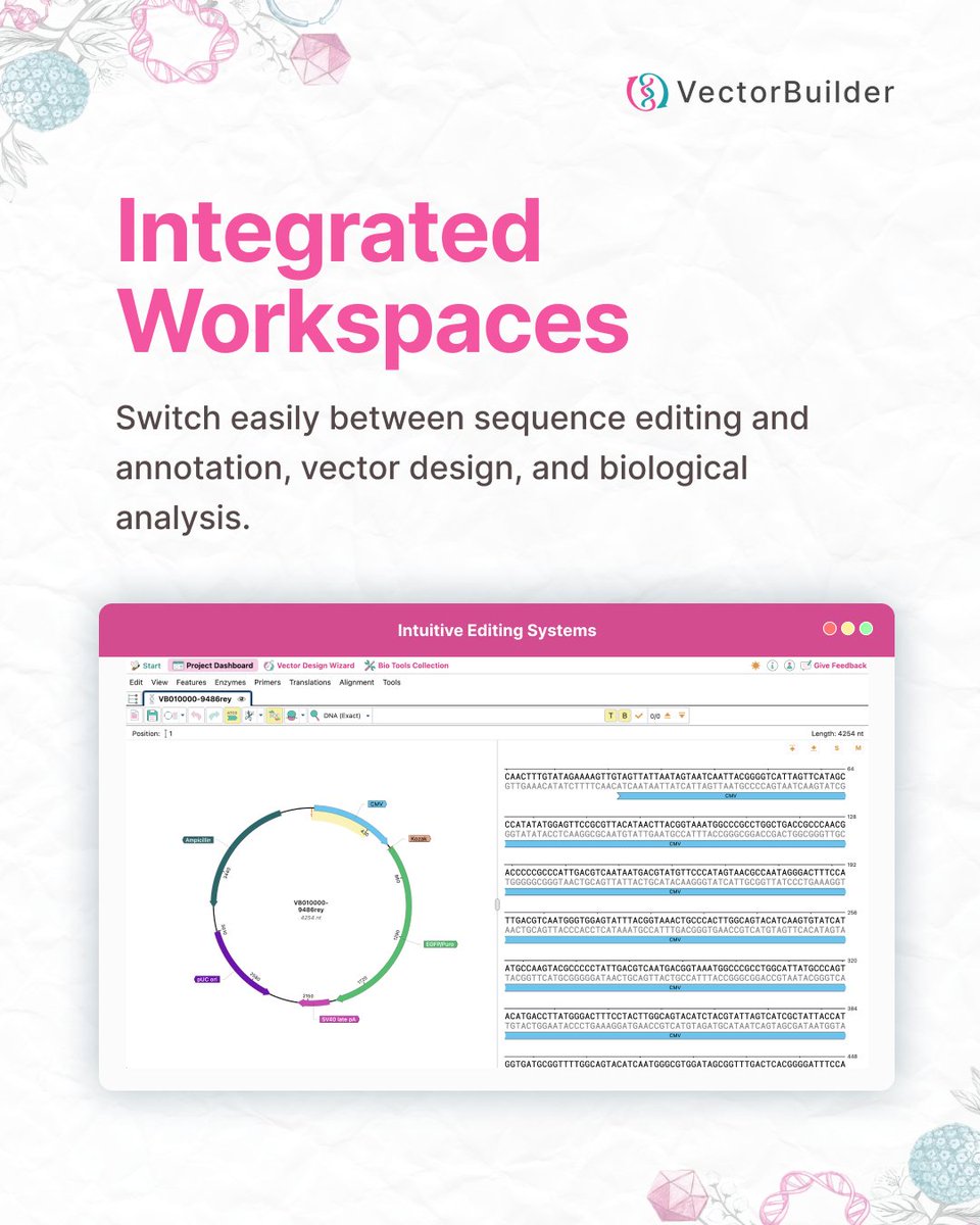 VectorBuilder tweet media