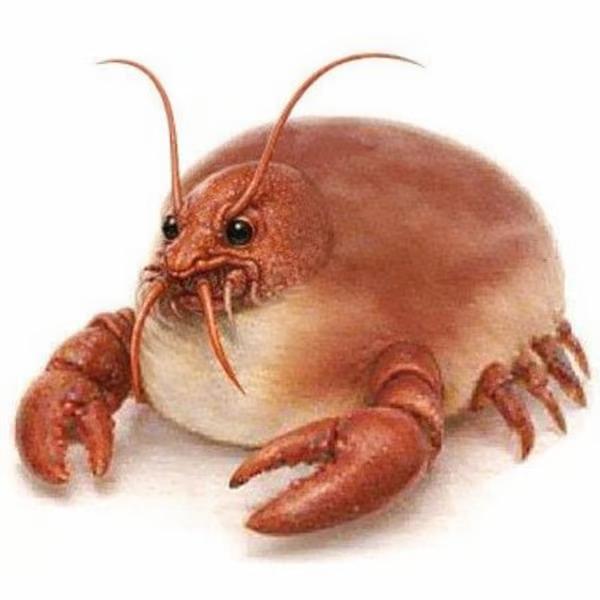 fr, wtf is this Lobstar doing?

龙虾
ADgFuqn9RGREbF7AMUEEgn5v3DHEy43qksEJdcHYpump