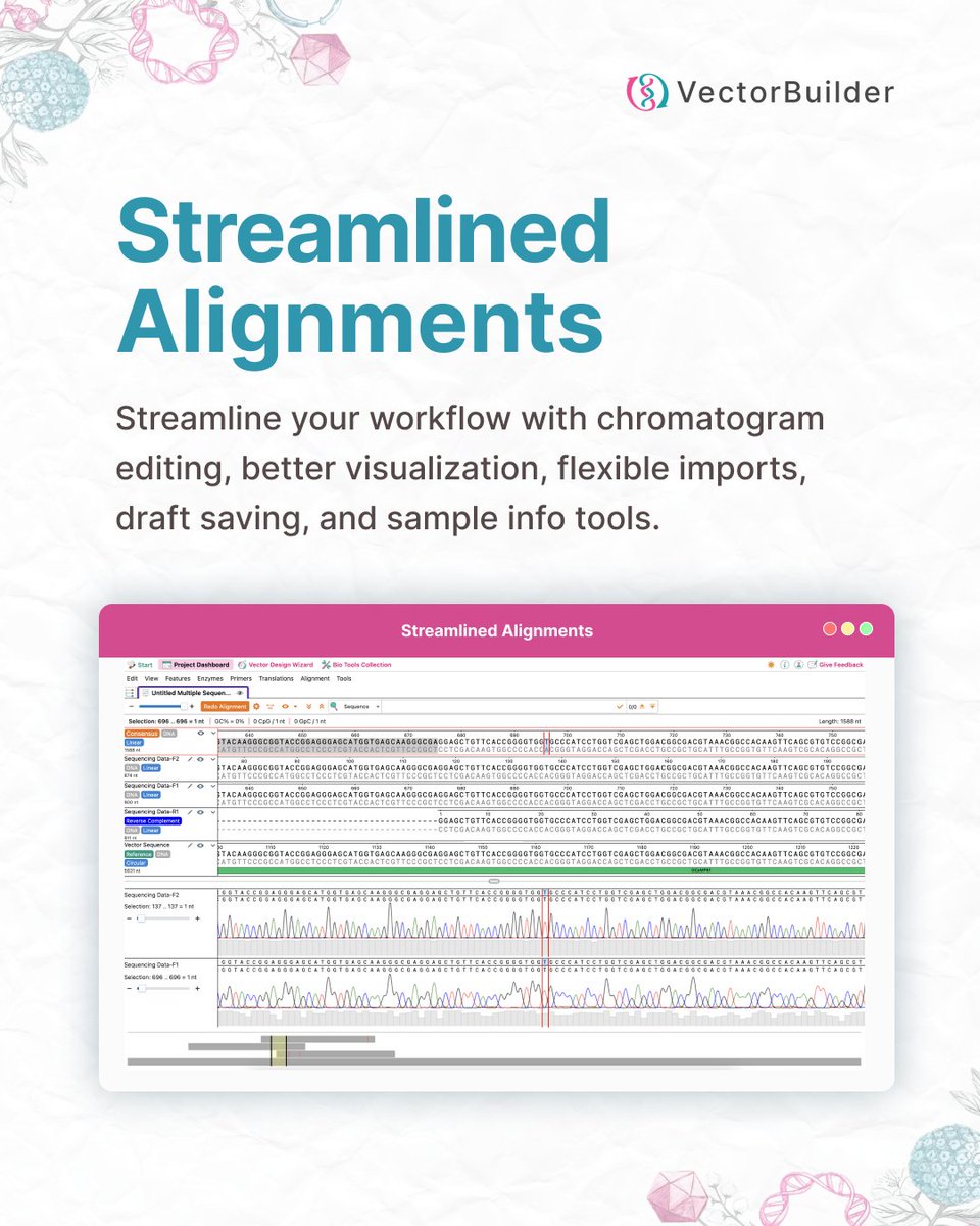 VectorBuilder tweet media