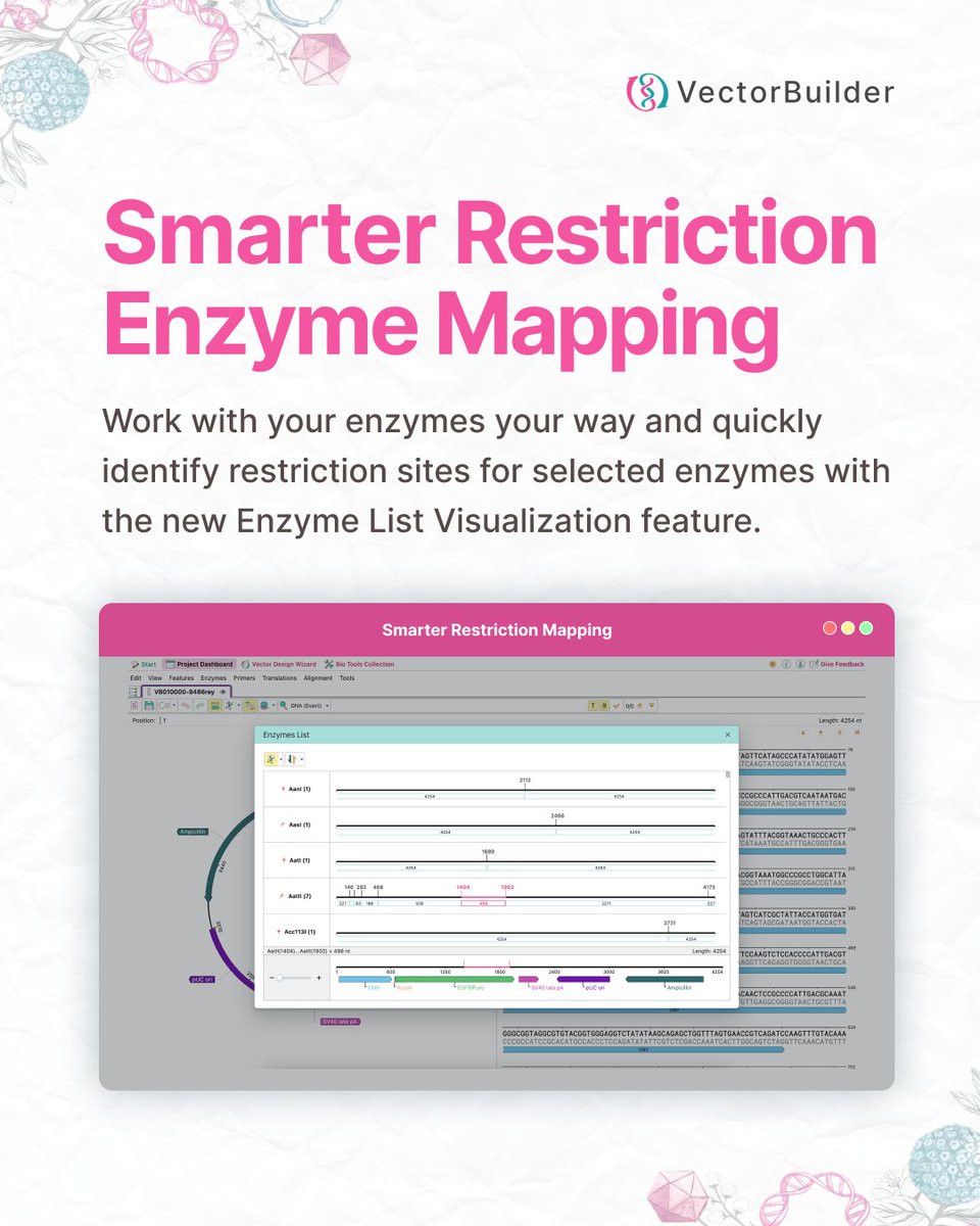 VectorBuilder tweet media