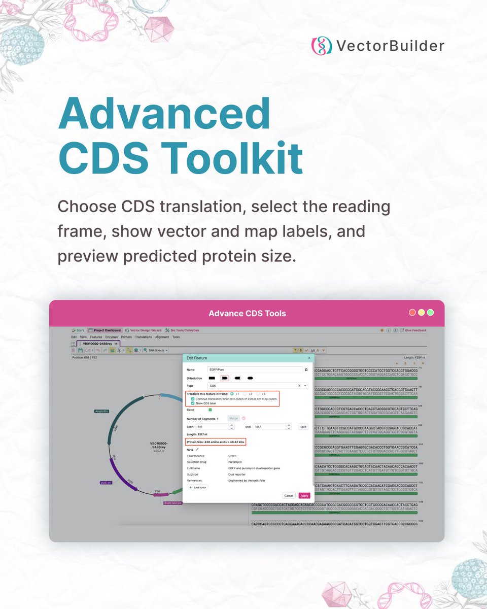 VectorBuilder tweet media