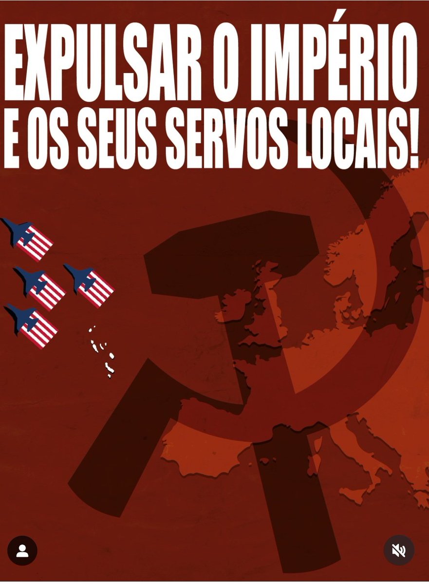 Rute Rockabilly tweet media