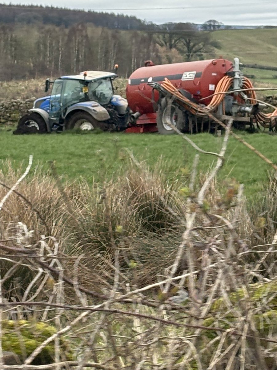 rattycastle tweet media