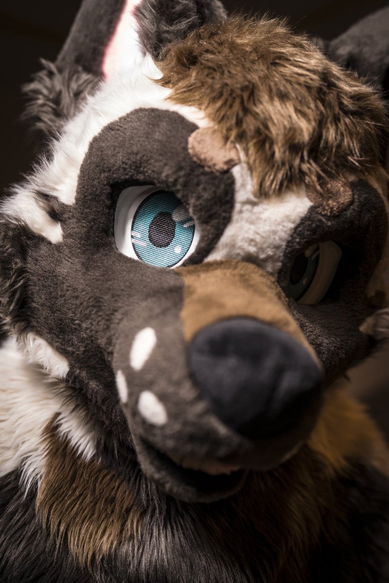 Apollo 🔜 TFF, LVFC tweet media