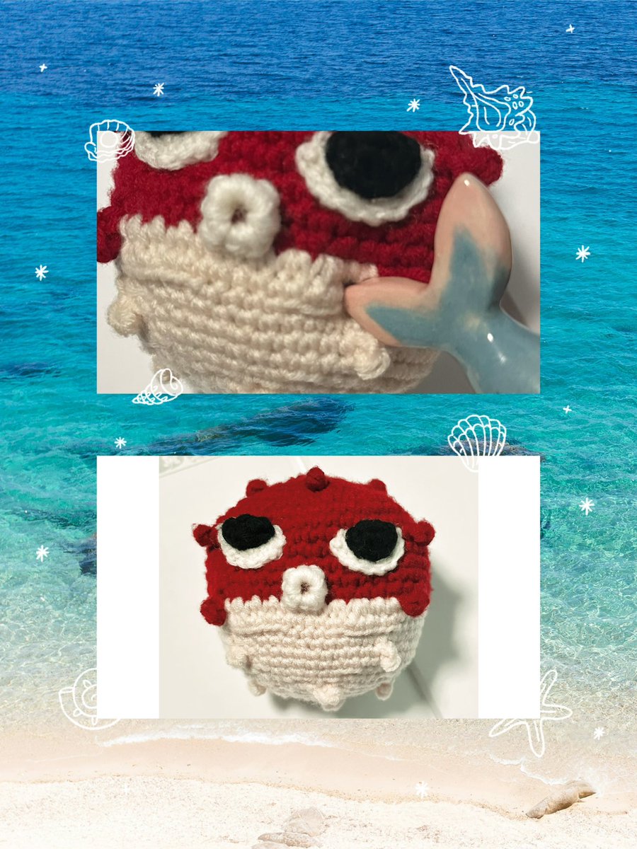 🐟Lili✨(beloved fishie’s day) tweet media