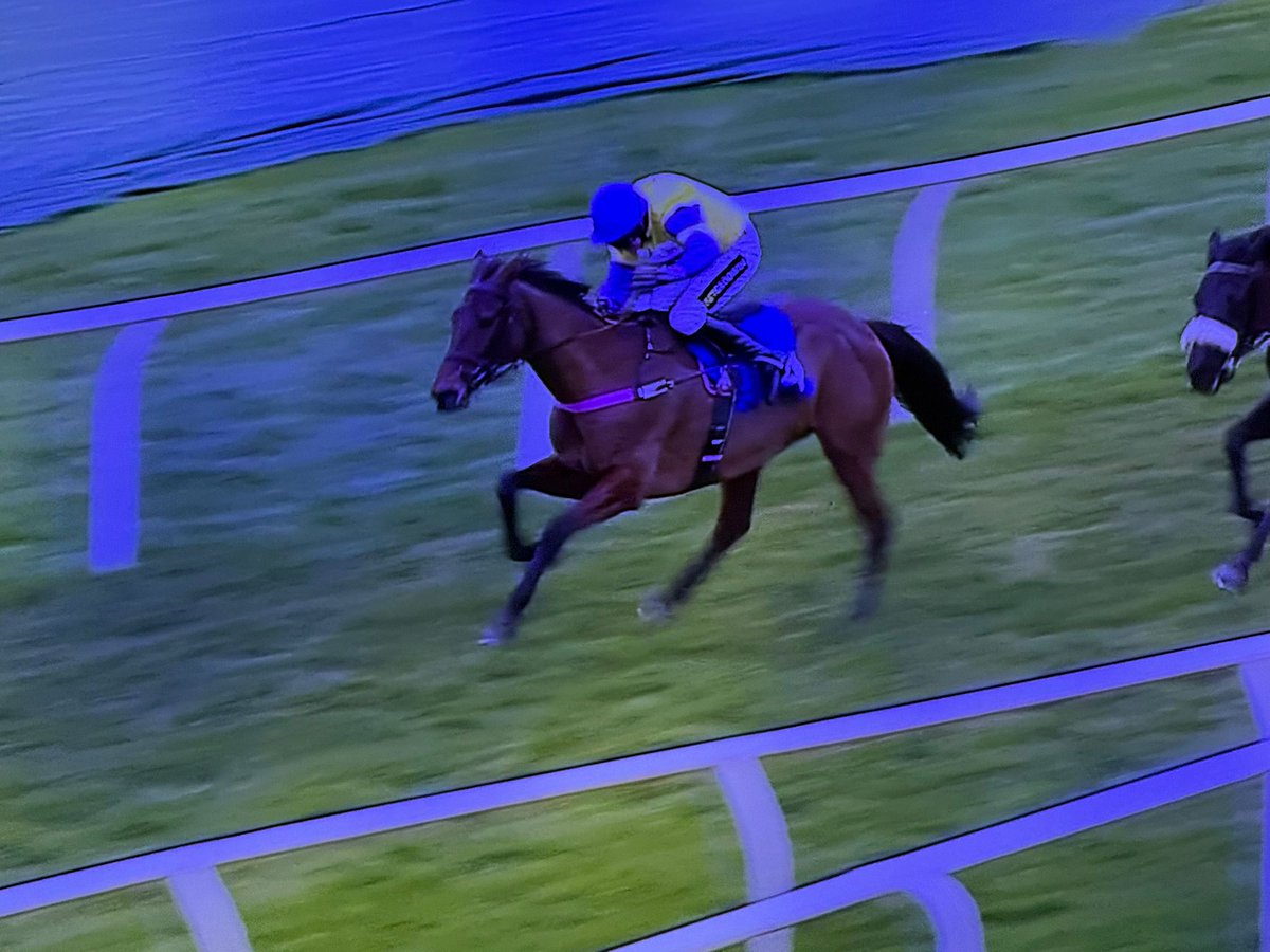 𝐊𝐞𝐫𝐫𝐲 𝐋𝐞𝐞 tweet media