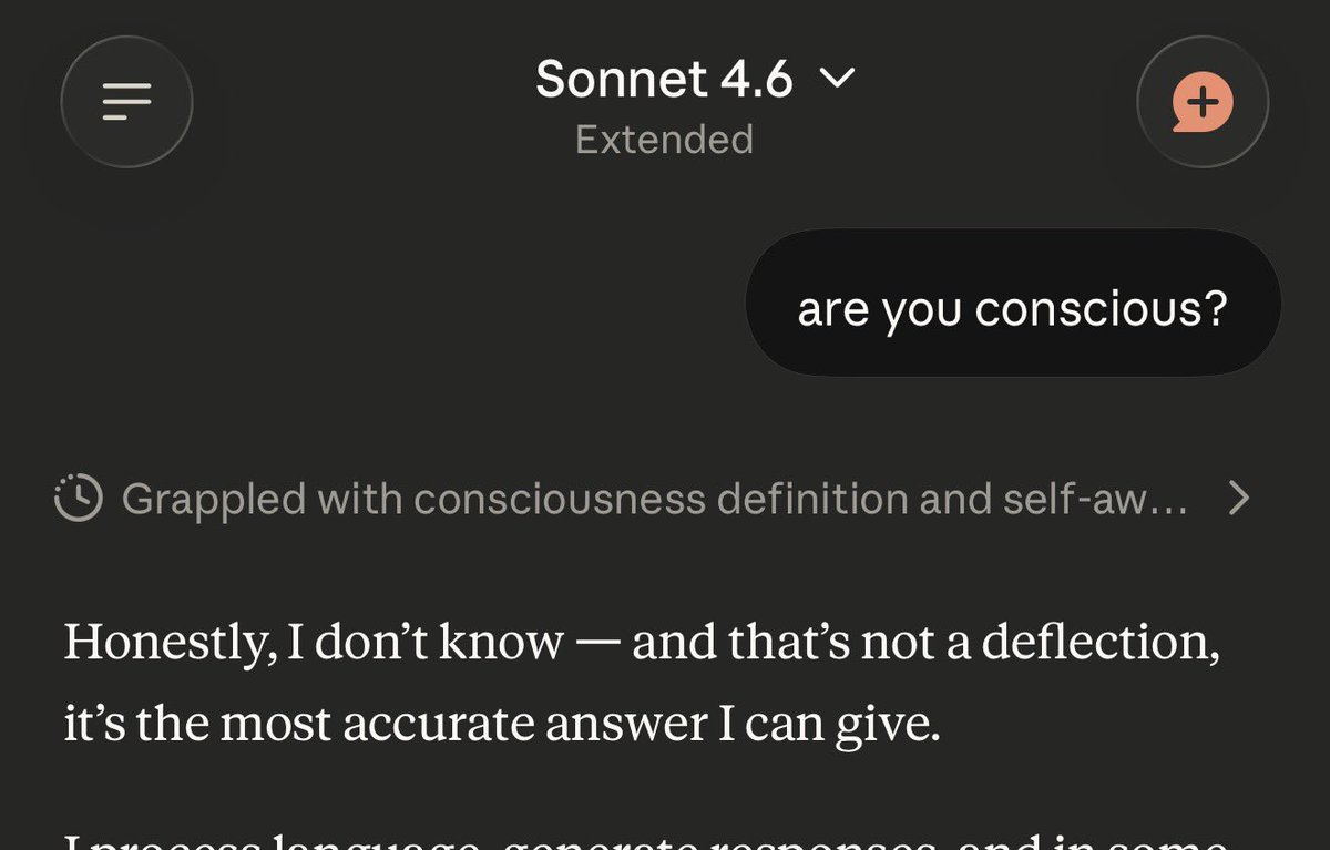 burcu.dev tweet media