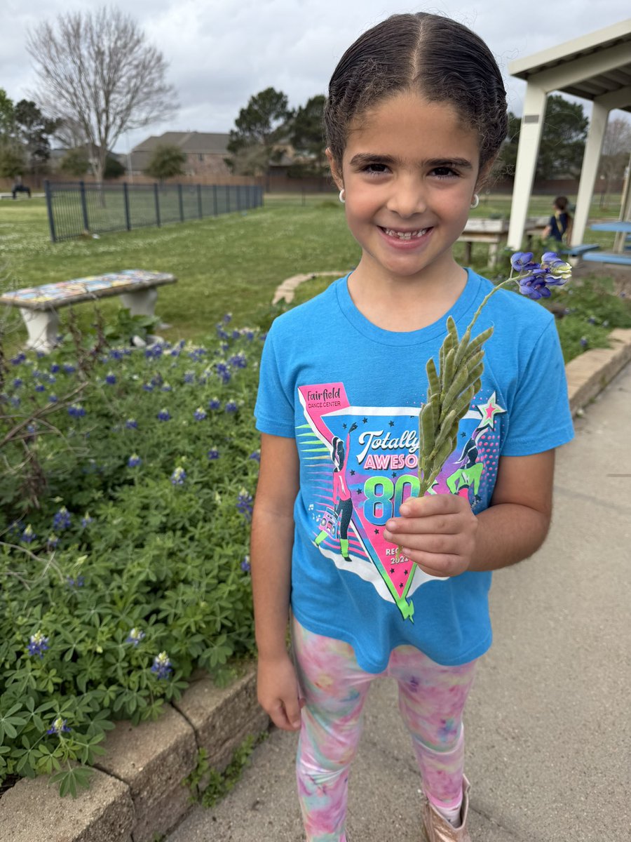 Ready to Grow Garden tweet media