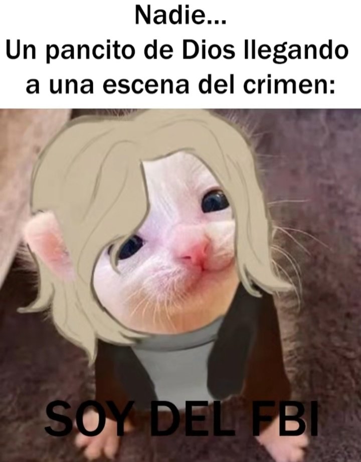 Si te sigo sos un triunfador 🏆 #MereTonGang⚡ (@experimentscorn) on Twitter photo 