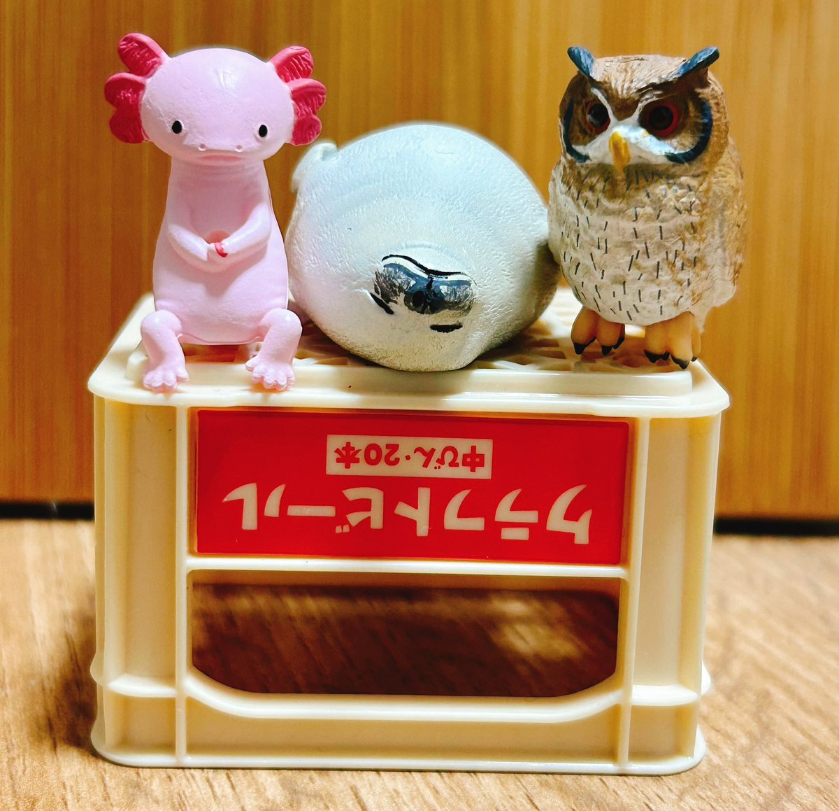 mapomumpm11's tweet photo. 今週も一週間、
おつかれさまでした！　まぽむ一同

#まぽむ #まぽむちゃんねる 

https://t.co/mOx8QySxrm https://t.co/ju730oG589