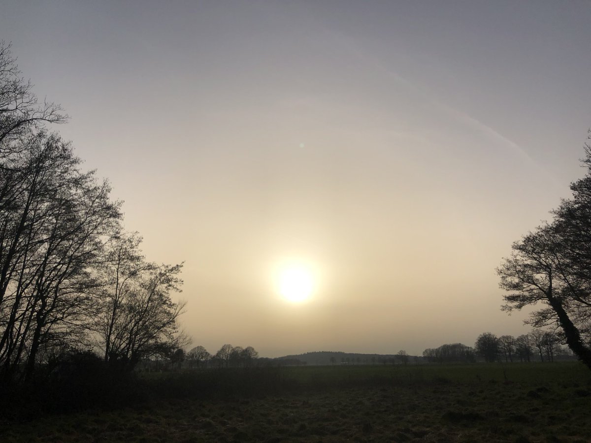 Hans Leeflang tweet media