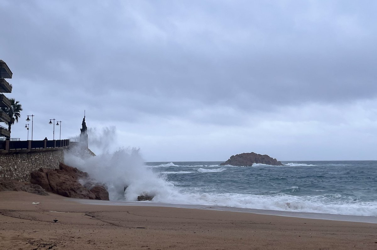 Robby Geebelen tweet media