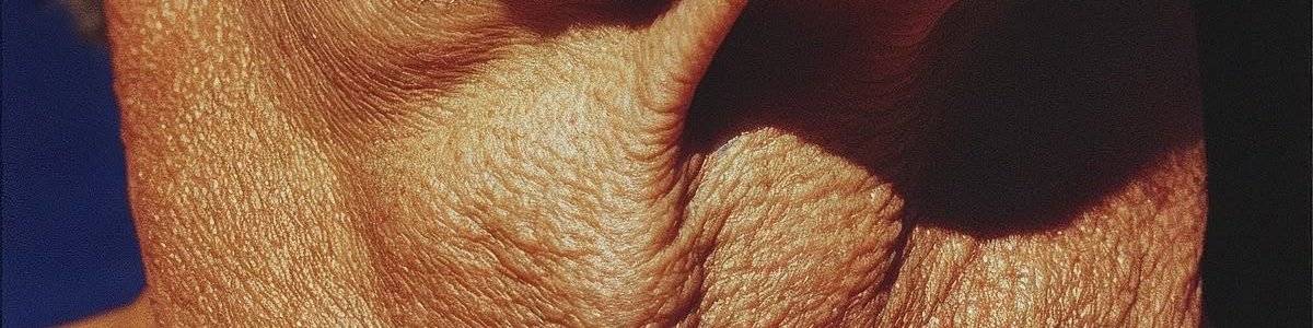 𝙷𝚈𝙿𝙴𝙾𝙽 tweet media