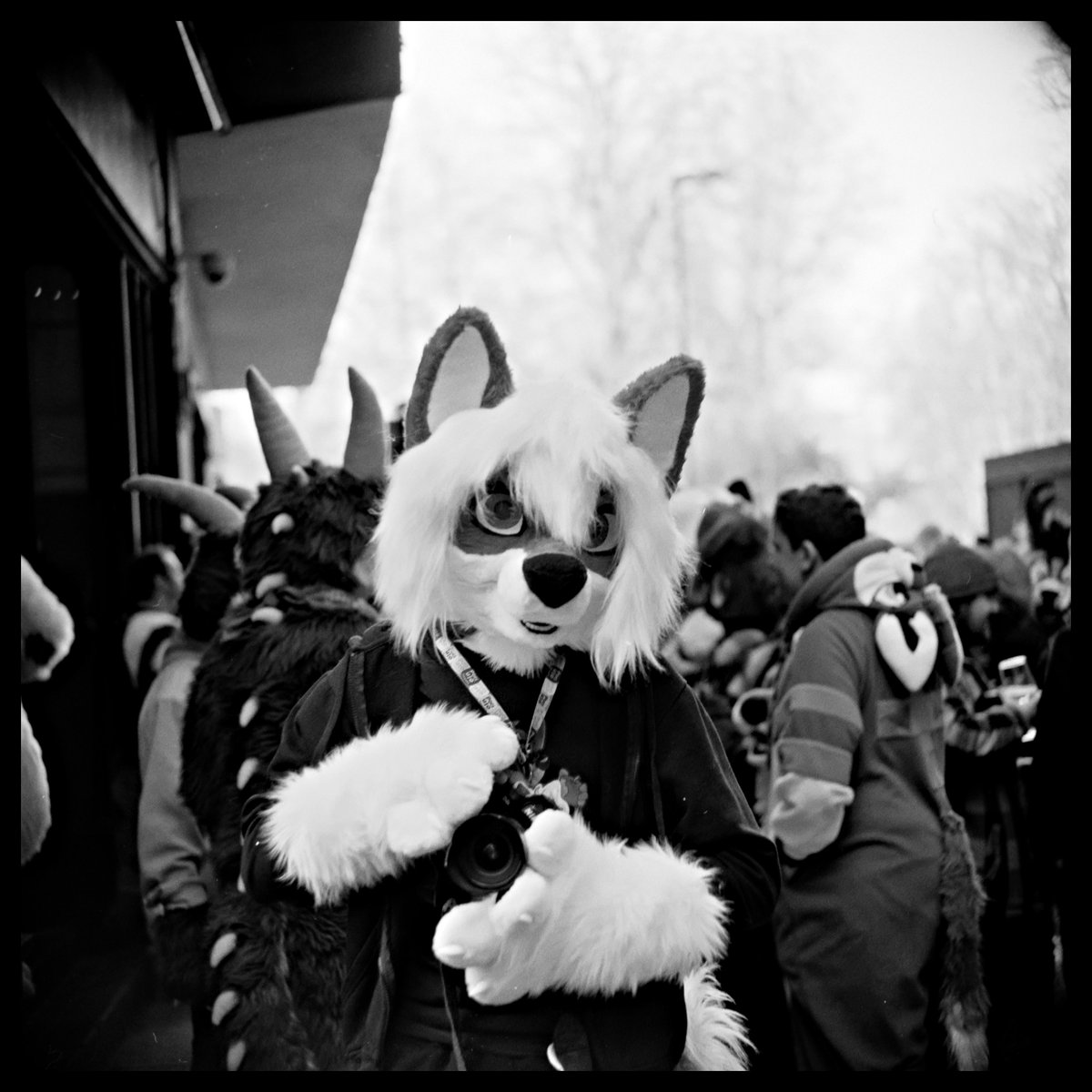 Tazon Husky tweet media