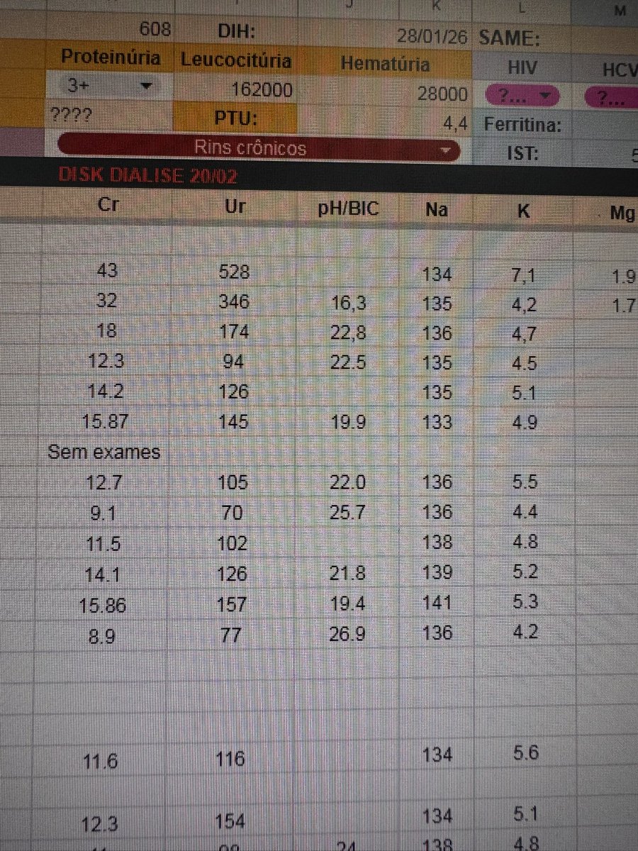 nefrofofa tweet media