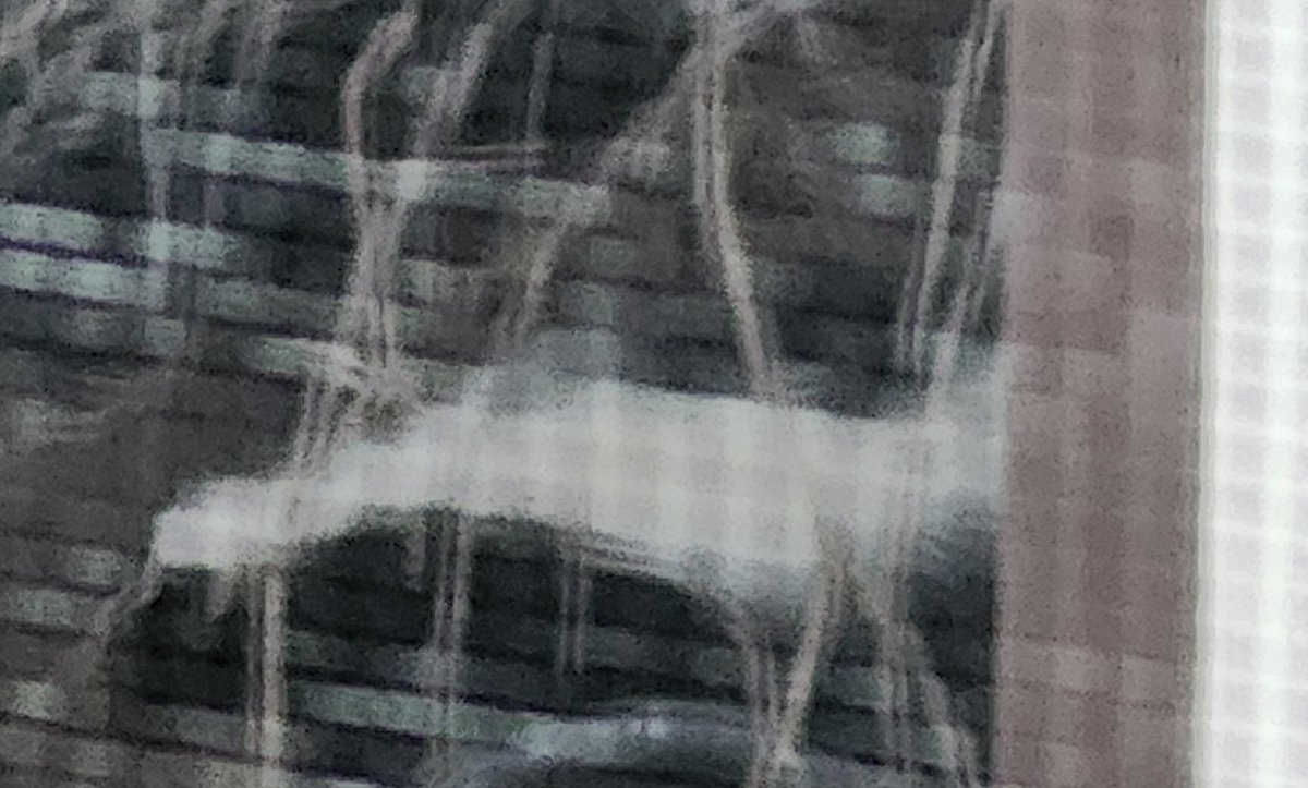 BlindVia tweet media