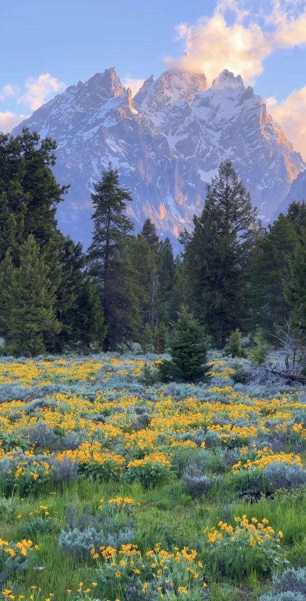 Wallpaper Frenzy (@agnes122001) on Twitter photo 