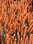 Ann Arbor Parks Rec tweet media