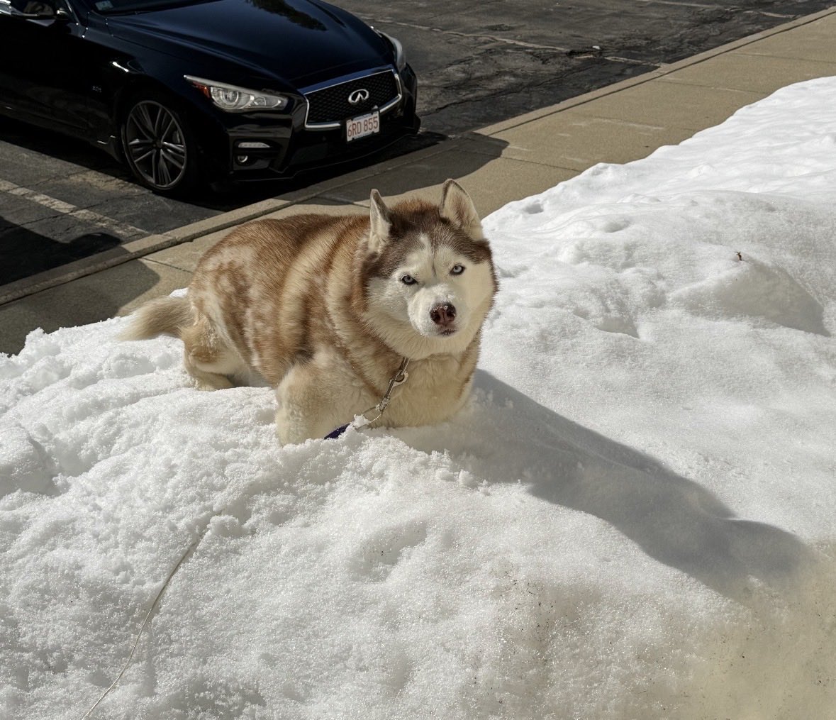 Guidry's Guardian Foundation tweet media