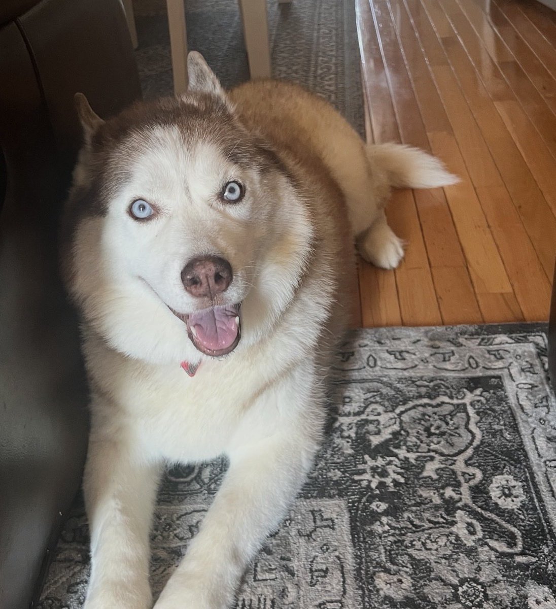 Guidry's Guardian Foundation tweet media