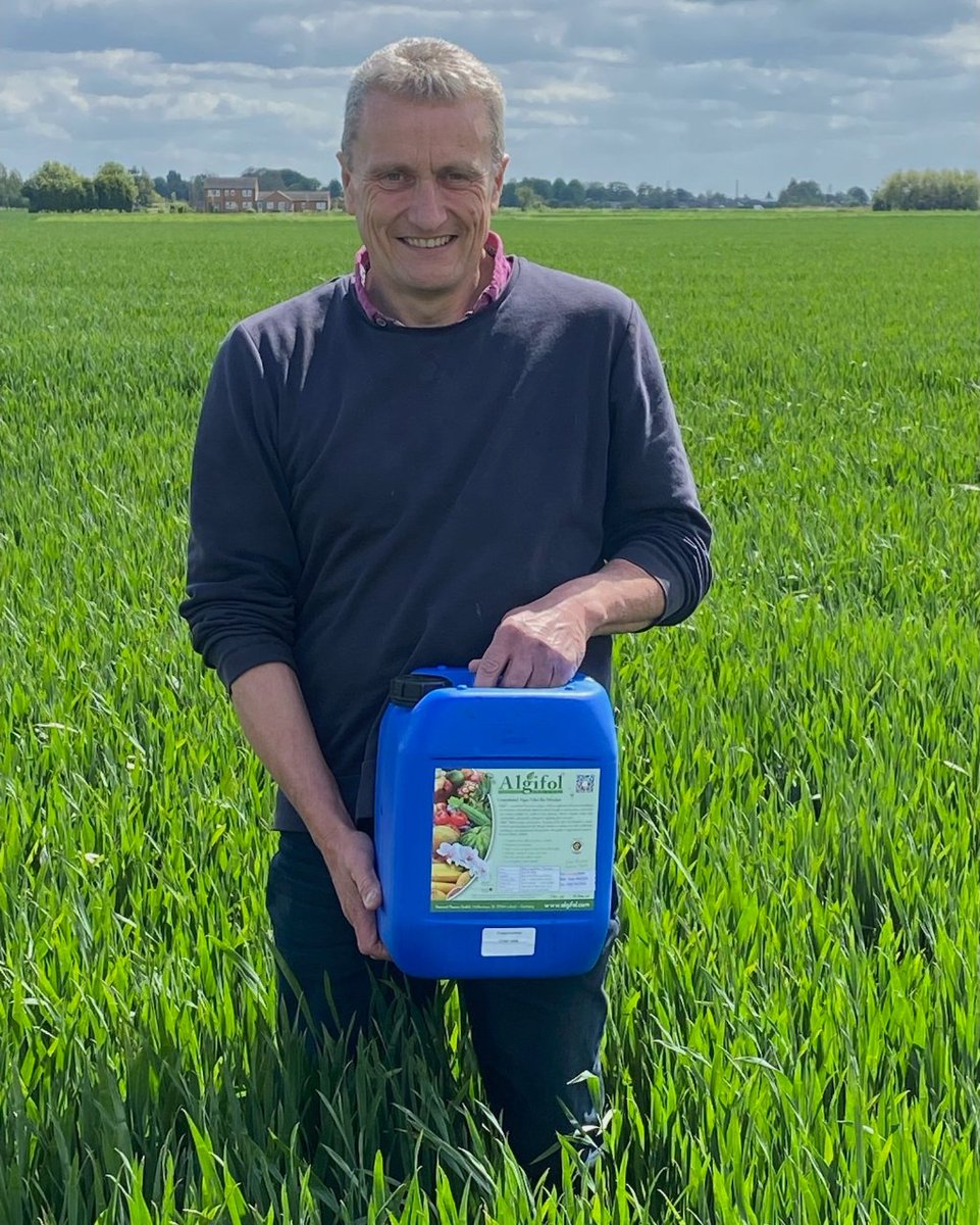 AlgifolUK tweet media